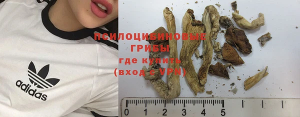 гашик Кукмор