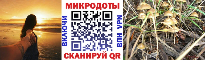 где купить наркотик  Цоци-Юрт  Псилоцибиновые грибы мухоморы 