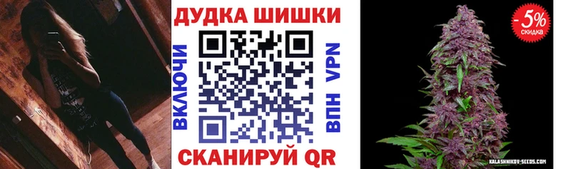 Бошки Шишки конопля  Цоци-Юрт 